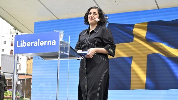 NextImg:"It's Not A Human Right To Live In Sweden" - New Integration Minister Calls For Migrant Values Survey
