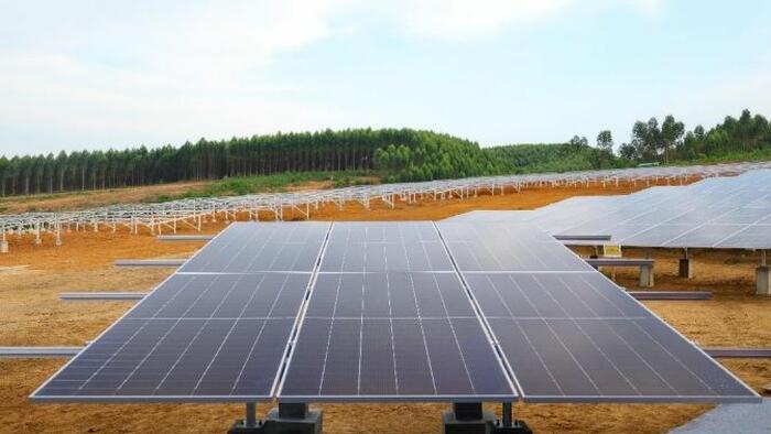 zerohedge.com - Tyler Durden - Pumping The Brakes On Alternative Energy