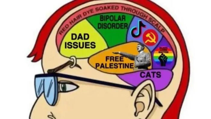 NextImg:Is Gen Z The Useful Idiot Generation