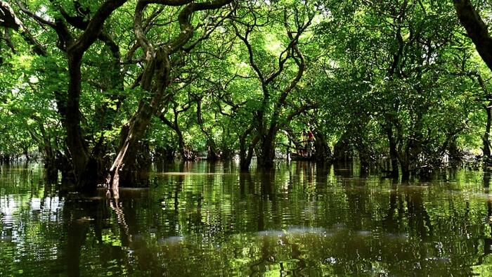 NextImg:The Swamp Always Wins: Why Outsiders Break When They Enter Washington