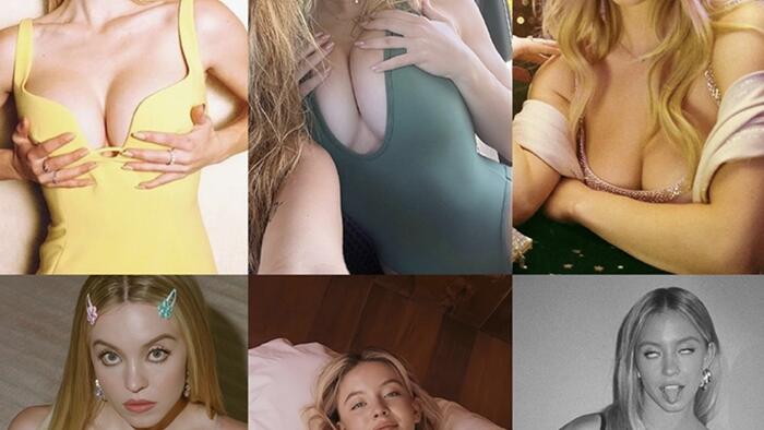 NextImg:Sydney Sweeney Sparks American Eagle Meme Stock Frenzy