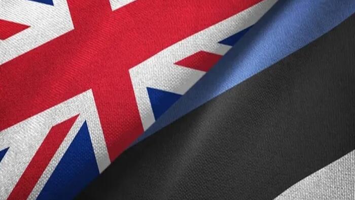 NextImg:The UK Aims To Entrench Its Influence In Estonia In Order To Lead The Arctic-Baltic Front