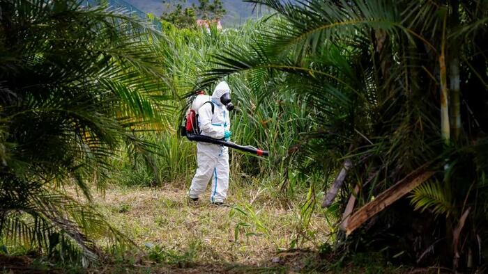 NextImg:Chikungunya Fever Spreading Rapidly In South China; CCP Downplays Outbreak