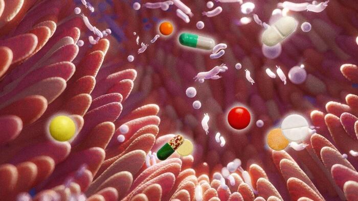 NextImg:1 In 4 Non-Antibiotic Drugs Linked To Disrupted Gut Health