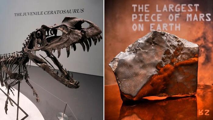 NextImg:At Sotheby's Auction, $30 Million Dinosaur Skeleton Stuns As Martian Meteorite Sets Record