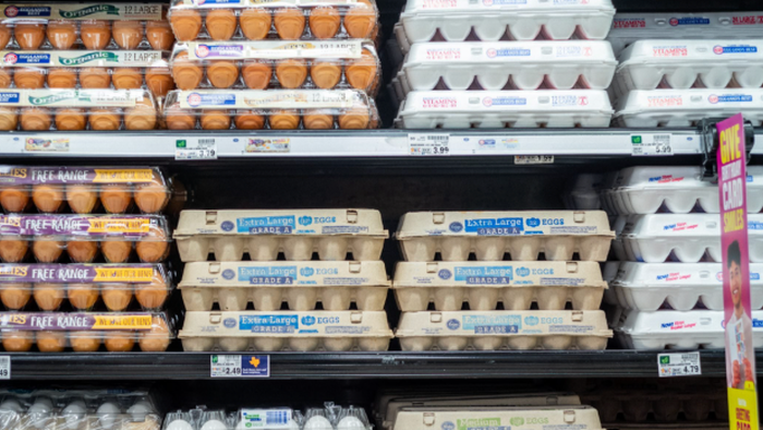 NextImg:Goldman Finds America's Egg Supply Has "Likely Normalized" After Supply Shock