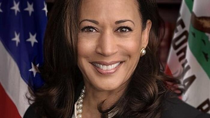 NextImg:DNC Criticized Over "Private Agreement" To Continue To Pay Harris's Debts After The Election