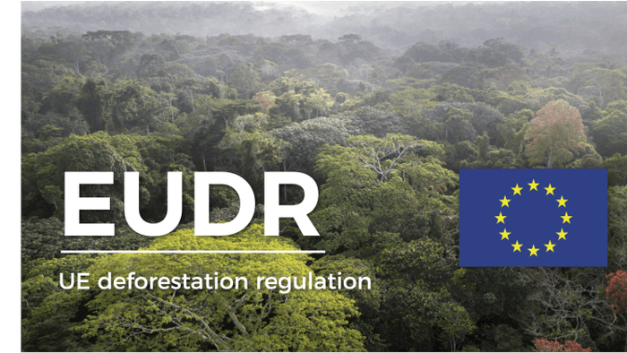 NextImg:EU's Deforestation Crusade: Brussels Expands Green Deal Control