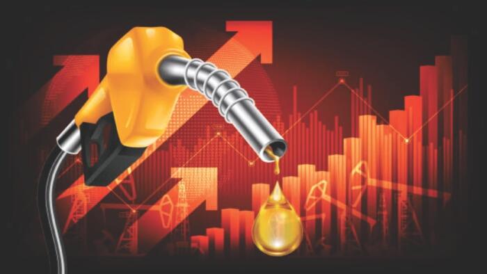 NextImg:Energy Price As An Economic Indicator