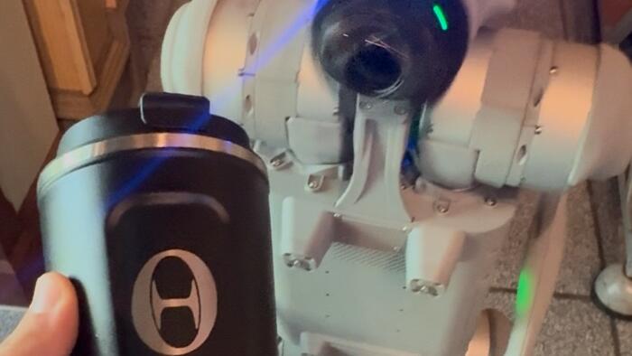 NextImg:Goldman Finds "Inflection Point" With Humanoid Robots; We Tested Unitree's Robodog