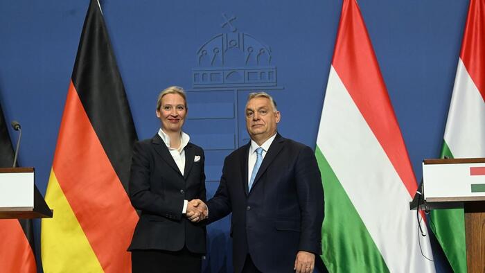 NextImg:"Everyone Should Leave The EU" - AfD Head Weidel Blasts "Openly Corrupt" Brussels