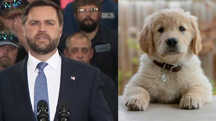 NextImg:Vance: Dems Would Come Out Against Puppies If Trump Said He Likes Them