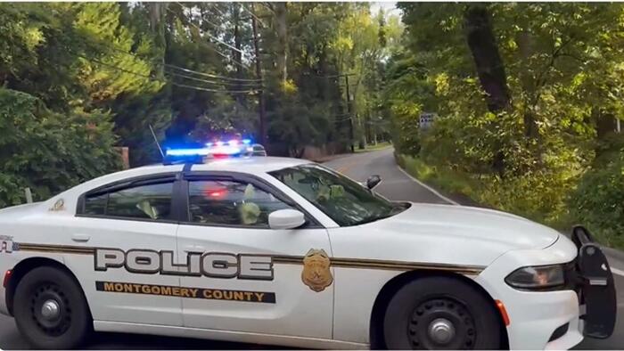 Trump On 'Lowlife, Unpatriotic' Bolton: 'Going To Find Out' If He Leaked Classified Info