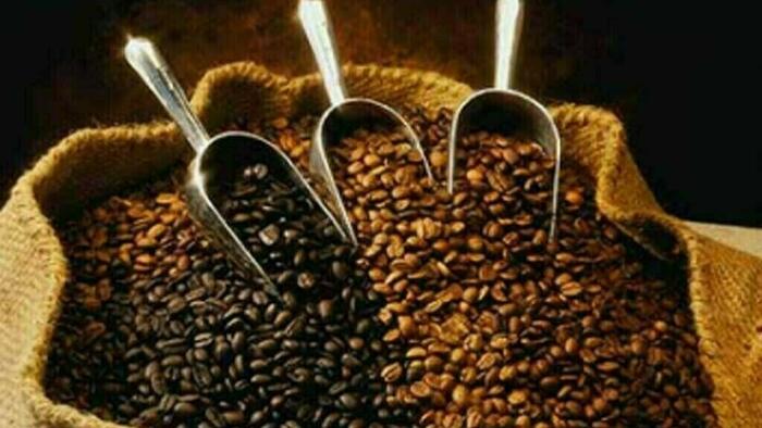 NextImg:China Seizes Opportunity To Praise 'Beloved Brazilian Coffee' While Blasting Trump's 'Bullying' Tariffs