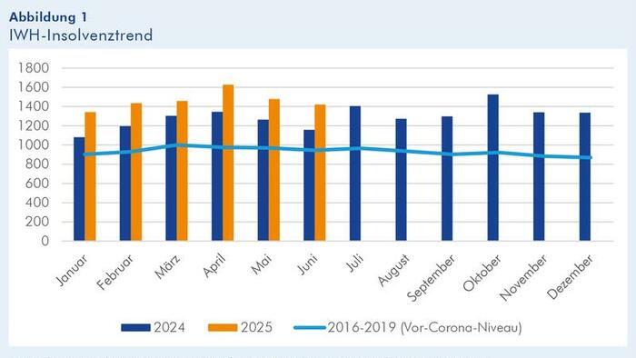 NextImg:Germany's Insolvency Tsunami: Structural Breakdown Underway