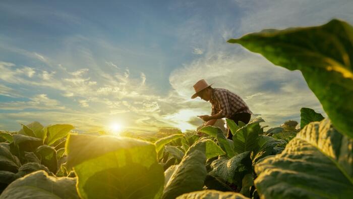 NextImg:Stop Imagining Dystopia: We Can Create A Garden Of Eden Future