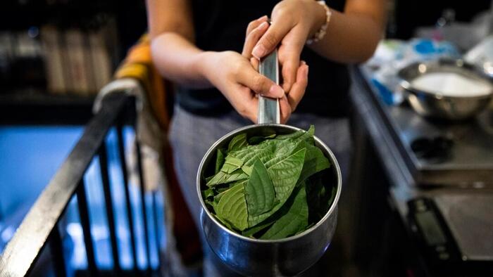 NextImg:What To Know About 7-OH, The Synthetic Opioid Derived From Kratom Facing An FDA Ban