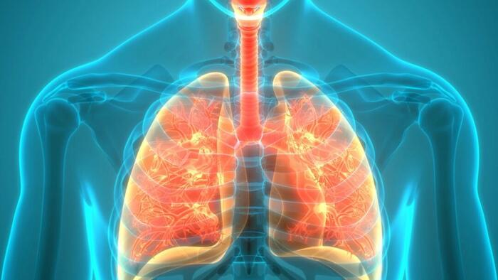 NextImg:Most COVID Lung Abnormalities Heal Over Time, New Guidelines Confirm