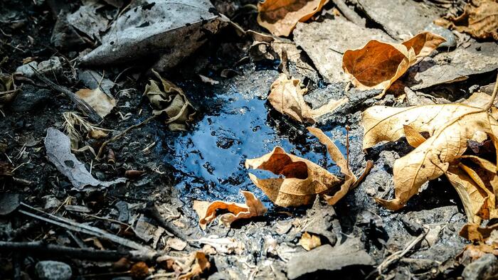NextImg:How Oil Production Might Help California Meet Its Environmental Goals: Study