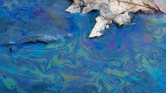 NextImg:Leaked Emails Show EPA Sought To Discredit Scientist After Ohio Train Derailment Disaster