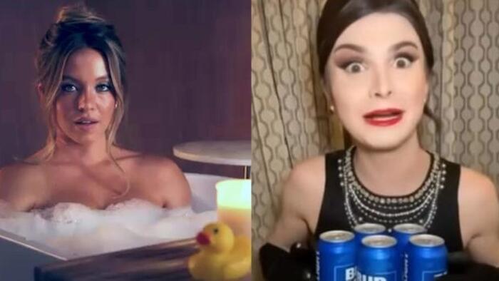 NextImg:Bud Light Considers Tapping Sydney Sweeney To Rehab Tarnished Image