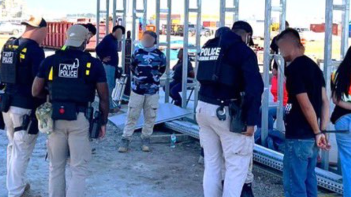 NextImg:450 Illegal Aliens Arrested At Hyundai Battery Plant In Georgia