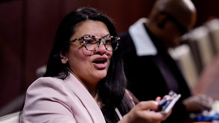 NextImg:"Free DC!": Screamfest During House Hearing As Tlaib Accuses Trump Admin Of 'Fascist Takeover'