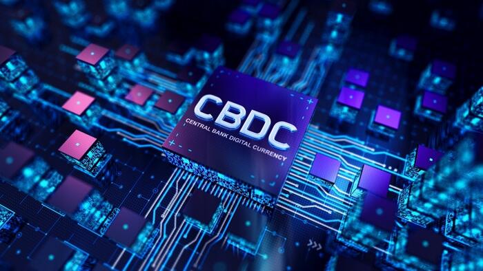 NextImg:Welcome To Big Brother's Digital Prison, Part I: Central Bank Digital Currencies