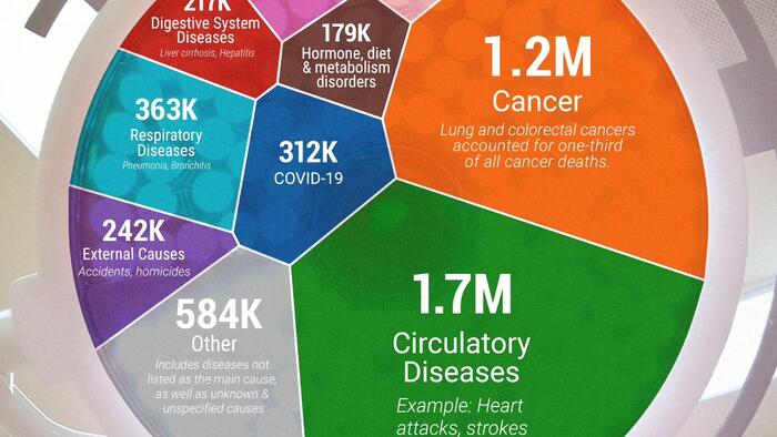 NextImg:Europe's Top Causes Of Death, Ranked; Cancer Is #2