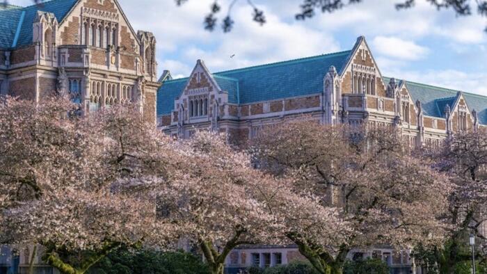 NextImg:Seattle's UW Professors Shift To Private Emails To Hide Their Political Campaigning