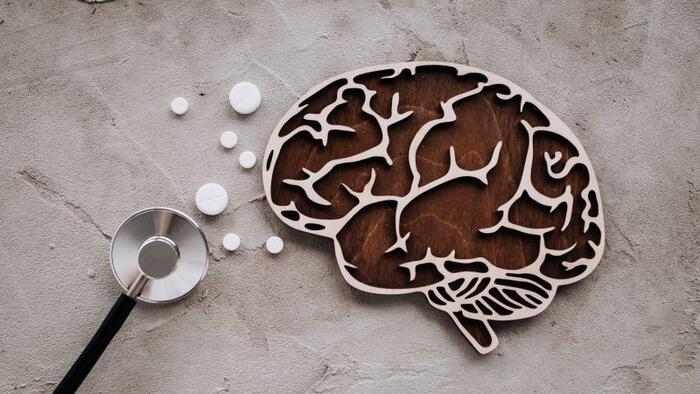 NextImg:The Pandemic Of Fake Psychiatric Diagnoses