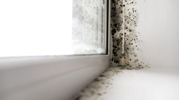 NextImg:The CDC Needed A Thorough Housecleaning