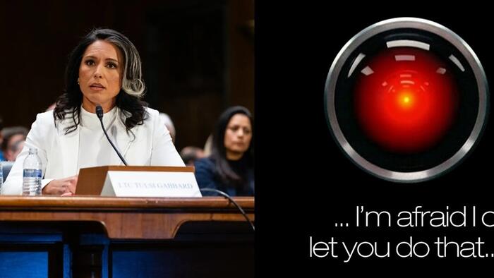 NextImg:Yet Again, Deep State Attacks DNI Tulsi Gabbard