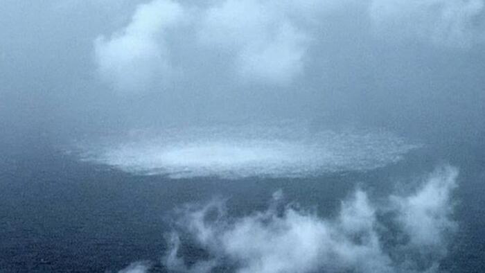 NextImg:Poland Arrests Ukrainian Diver Over Nord Stream Sabotage Explosions