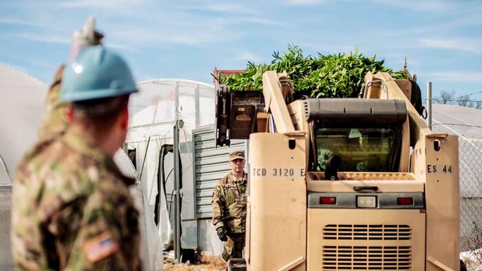 NextImg:Oklahoma Overrun With Chinese-Operated Marijuana Farms