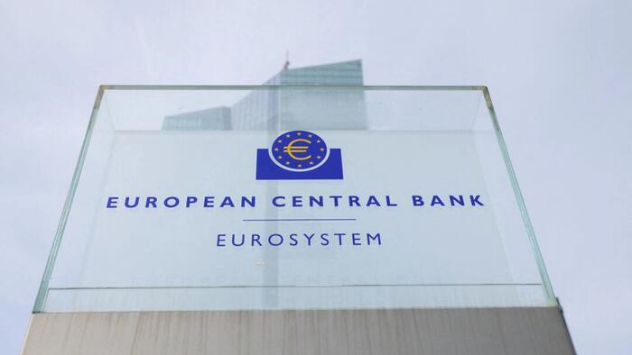 NextImg:Majority Of Europeans Unwilling To Take Pay Cut To Work From Home: EU Central Bank