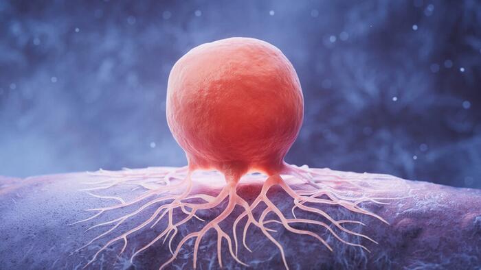 NextImg:Cancer Is Not Just in Your Genes: Be Aware Of These Key Culprits