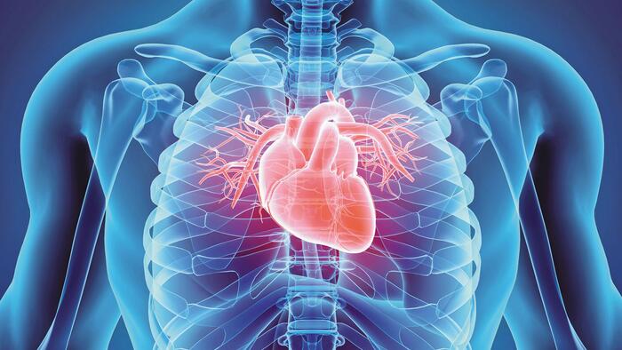 NextImg:Medical Group Reveals Major Role Inflammation Plays In Heart Disease