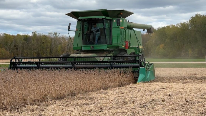 NextImg:China's Soybean Boycott - Key Questions Before Trump-Xi Meeting
