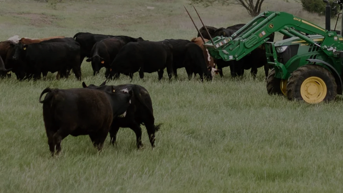 Trump Begins Tackling Cattle Shortage, Urges U.S. Ranchers To Lower Prices Trump Begins Tackling Cattle Shortage, Urges U.S. Ranchers To Lower Prices