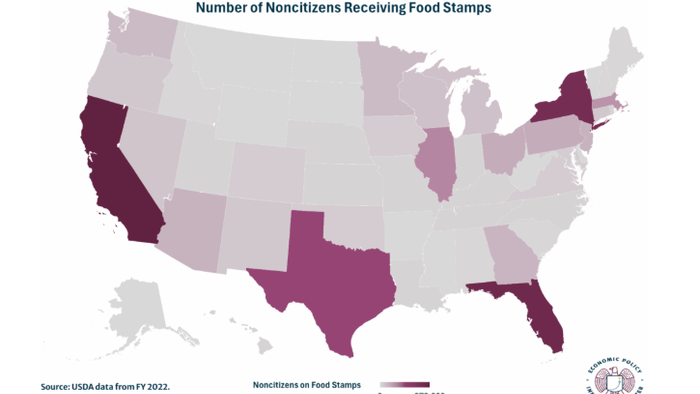 Mapping Where Non-Citizens Receive The Most Food Stamps