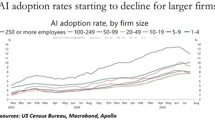 NextImg:Will AI Crash The Economy?