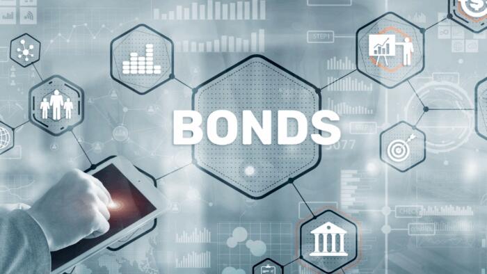 NextImg:Recession And Bonds: Navigating The Next Slowdown