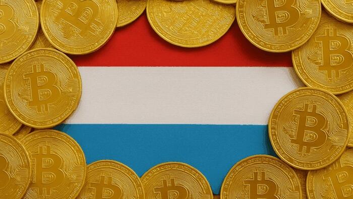NextImg:Luxembourg Joins Bitcoin Arms Race: Nation's Wealth Fund Buys Crypto For First Time