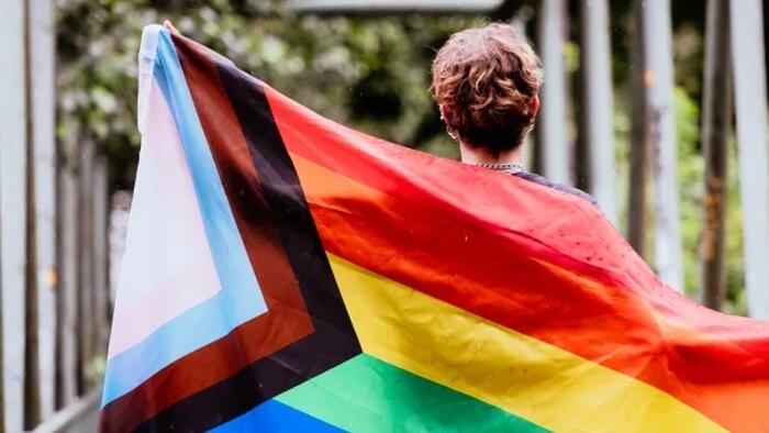 NextImg:1 In 3 Brown U. Freshmen Are LGBT: Survey