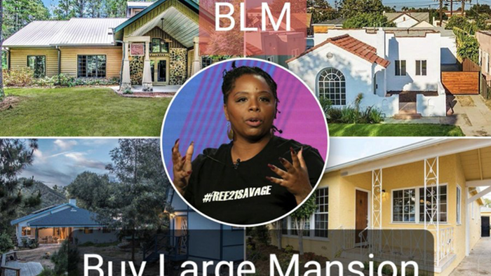 Black Lives Matter Under Federal Investigation For Donor Fraud; Report Black Lives Matter Under Federal Investigation For Donor Fraud; Report
