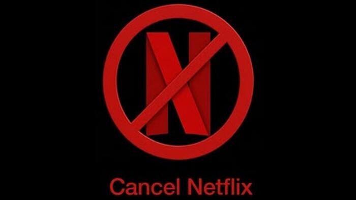 Netflix Crashes After Musk’s “Cancel” Crusade Leads To Top, Bottom Line Miss Netflix Crashes After Musk’s “Cancel” Crusade Leads To Top, Bottom Line Miss