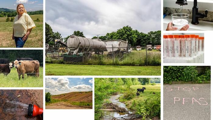 NextImg:States Go It Alone On 'Forever Chemicals' As EPA Delays Federal Action