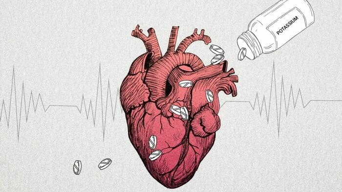 NextImg:Raising Potassium Levels Protects Heart Patients