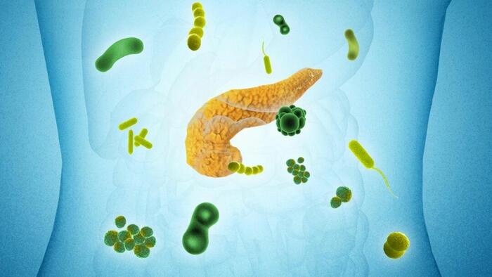 27 Microbes Linked To Pancreatic Cancer, Major Study Finds 27 Microbes Linked To Pancreatic Cancer, Major Study Finds